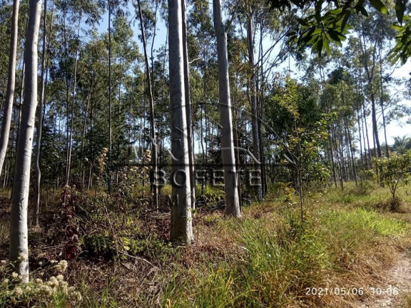 Imagem Imóvel à Venda, 20.000 m² em São Marcos - Bofete Imagem Imóvel à Venda, 20.000 m² em São Marcos - Bofete