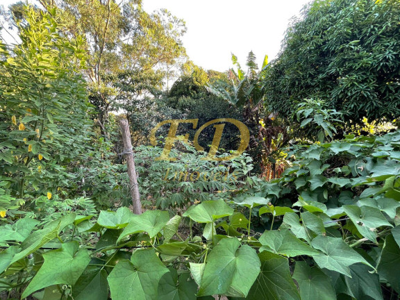 Imagem Chácara com 3 Quartos à Venda, 2.100 m² em Mato Dentro - Mairiporã Imagem Chácara com 3 Quartos à Venda, 2.100 m² em Mato Dentro - Mairiporã