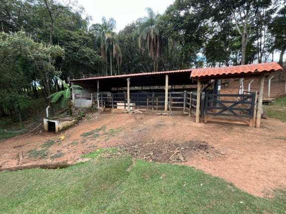 Imagem Chácara com 4 Quartos à Venda, 16 m² em Batatal - Igarapé Imagem Chácara com 4 Quartos à Venda, 16 m² em Batatal - Igarapé
