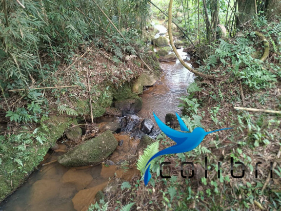 Imagem Chácara à Venda, 13.512 m² em Taquara Lisa - Agudos Do Sul Imagem Chácara à Venda, 13.512 m² em Taquara Lisa - Agudos Do Sul