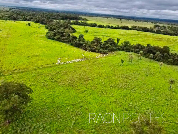 Imagem Fazenda à Venda, 7.930.000 m² em Zona Rural - Filadélfia Imagem Fazenda à Venda, 7.930.000 m² em Zona Rural - Filadélfia