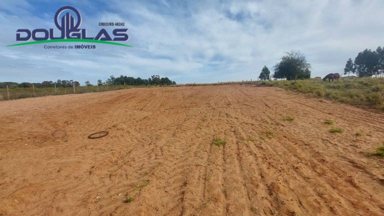 Imagem Terreno à Venda, 1.250 m² em Viamão Imagem Terreno à Venda, 1.250 m² em Viamão