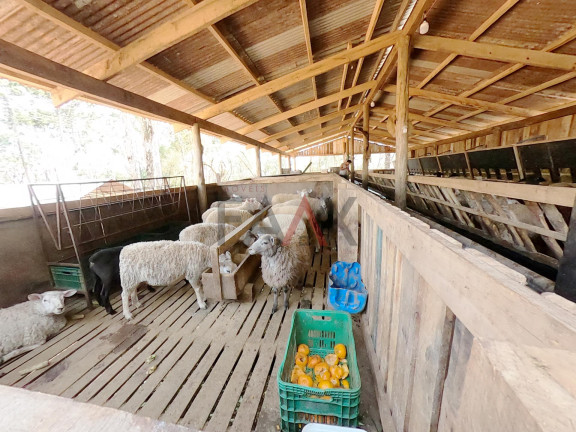 Imagem Fazenda à Venda, 24.200 m² em Morro Alto - Guarapuava Imagem Fazenda à Venda, 24.200 m² em Morro Alto - Guarapuava