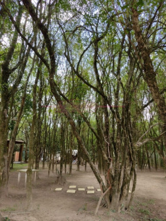 Imagem Chácara com 4 Quartos à Venda, 240 m² em Terras De São Francisco - Boituva