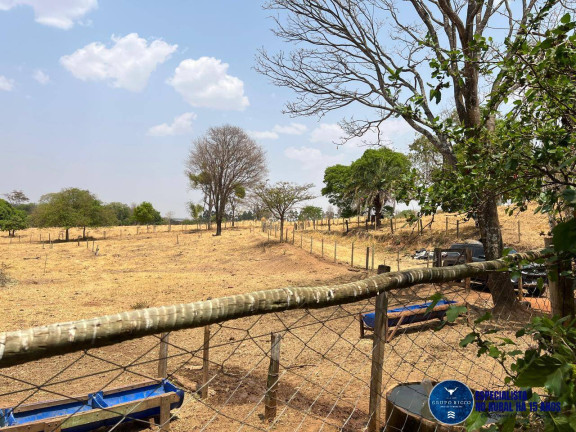 Imagem Chácara à Venda, 24 m² em Zona Rural - Bela Vista De Goiás Imagem Chácara à Venda, 24 m² em Zona Rural - Bela Vista De Goiás