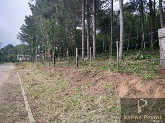 Imagem Terreno à Venda, 300 m² em Campestre - São Leopoldo