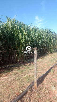 Imagem Chácara à Venda, 2 m² em Zona Rural - Valentim Gentil Imagem Chácara à Venda, 2 m² em Zona Rural - Valentim Gentil