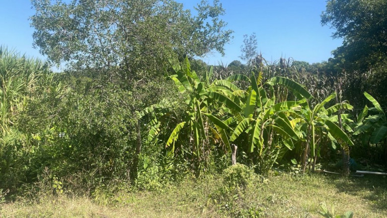 Imagem Imóvel com 3 Quartos à Venda, 200 m² em Rio Verde - Bauru Imagem Imóvel com 3 Quartos à Venda, 200 m² em Rio Verde - Bauru