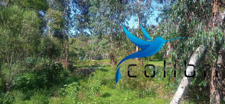 Imagem Chácara com 3 Quartos à Venda, 10.300 m² em Agua Clara - Quitandinha Imagem Chácara com 3 Quartos à Venda, 10.300 m² em Agua Clara - Quitandinha