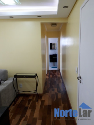 Imagem Apartamento com 2 Quartos à Venda, 48 m² em Vila Amélia - São Paulo Imagem Apartamento com 2 Quartos à Venda, 48 m² em Vila Amélia - São Paulo