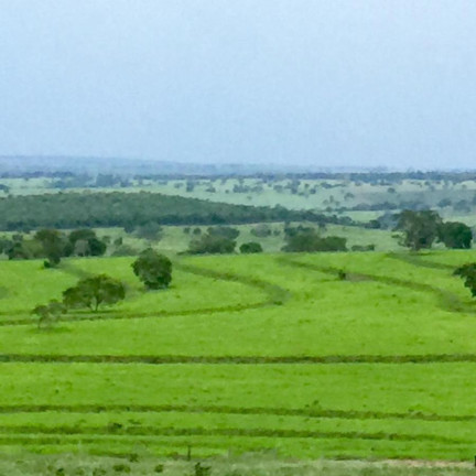 Imagem Fazenda à Venda, 4.530 m² em Rural - Camapuã