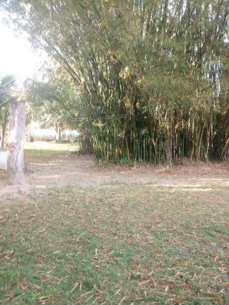Imagem Chácara com 3 Quartos à Venda, 32 m² em Três Vendas - Araruama Imagem Chácara com 3 Quartos à Venda, 32 m² em Três Vendas - Araruama