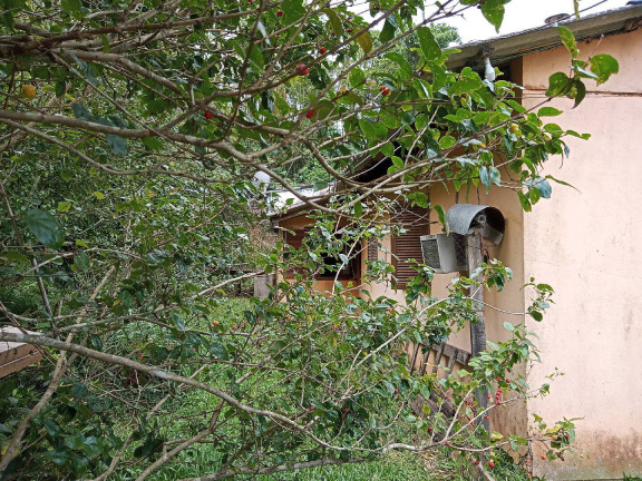 Imagem Casa à Venda, 36 m² em águas Claras - Viamão Imagem Casa à Venda, 36 m² em águas Claras - Viamão