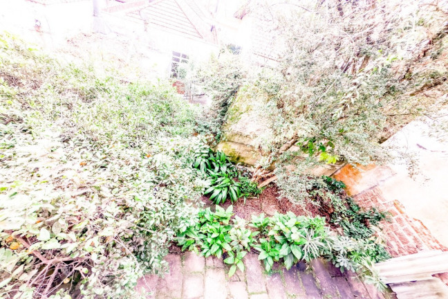 Imagem Casa com 3 Quartos à Venda, 240 m² em Petrópolis - Porto Alegre Imagem Casa com 3 Quartos à Venda, 240 m² em Petrópolis - Porto Alegre