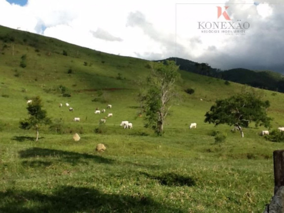 Imagem Fazenda à Venda, 100 m² em Santa Joana - Santa Branca Imagem Fazenda à Venda, 100 m² em Santa Joana - Santa Branca