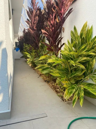 Imagem Casa de Condomínio com 3 Quartos à Venda, 400 m² em Parque Campolim - Sorocaba Imagem Casa de Condomínio com 3 Quartos à Venda, 400 m² em Parque Campolim - Sorocaba