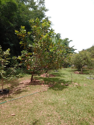 Imagem Chácara com 2 Quartos à Venda, 6.500 m² em Mato Dentro - Jundiaí