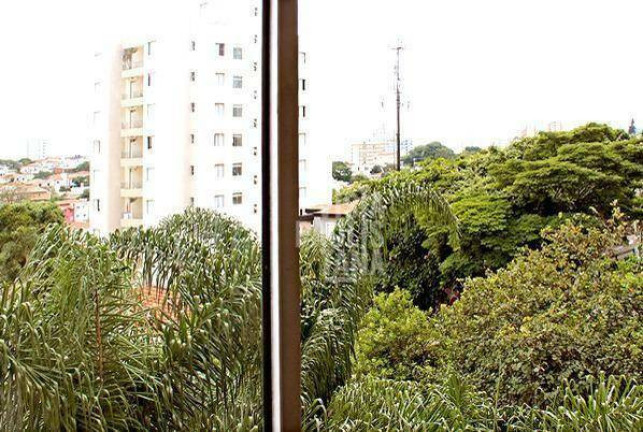 Imagem Apartamento com 3 Quartos à Venda, 94 m² em Vila Madalena - São Paulo Imagem Apartamento com 3 Quartos à Venda, 94 m² em Vila Madalena - São Paulo