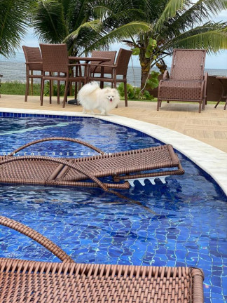 Imagem Apartamento com 3 Quartos à Venda, 70 m² em Itacimirim (monte Gordo) - Camaçari