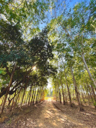 Imagem Fazenda à Venda, 1 m² em Zona Rural - Ipameri Imagem Fazenda à Venda, 1 m² em Zona Rural - Ipameri