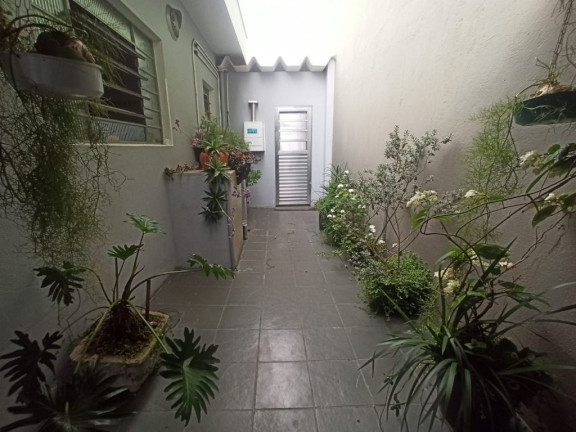Imagem Casa com 2 Quartos à Venda, 155 m² em Vila Amorim - Suzano Imagem Casa com 2 Quartos à Venda, 155 m² em Vila Amorim - Suzano
