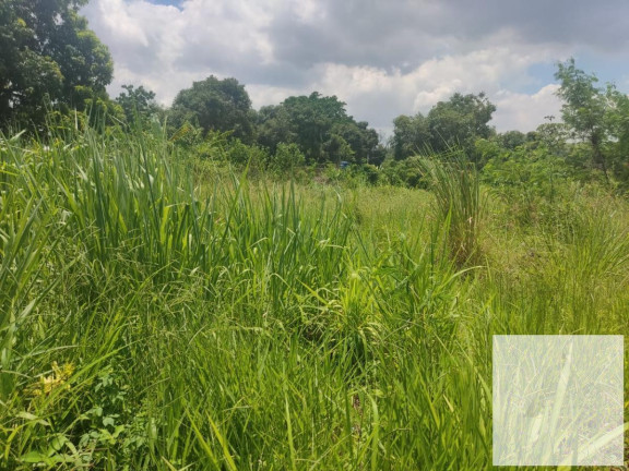 Imagem Terreno à Venda, 250 m² em Guaratiba - Rio De Janeiro