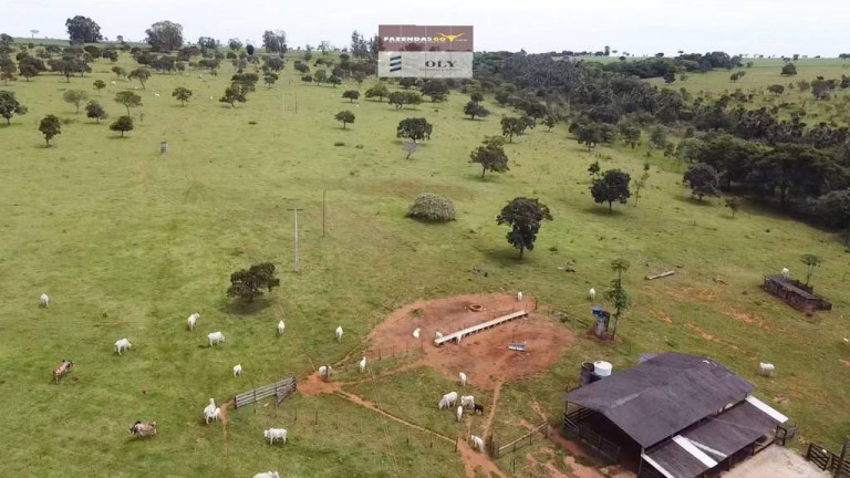 Imagem Fazenda à Venda, 22 m² em Zona Rural - Bela Vista De Goiás Imagem Fazenda à Venda, 22 m² em Zona Rural - Bela Vista De Goiás