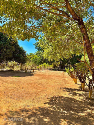 Imagem Chácara com 5 Quartos à Venda, 8.000 m² em Setor Central - Aragoiânia