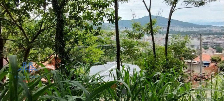Imagem Terreno à Venda, 471 m² em Córrego Grande - Florianópolis