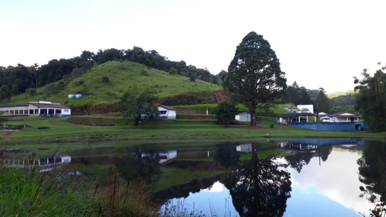 Imagem Fazenda à Venda, 5.000 m² em Quatinga - Mogi Das Cruzes Imagem Fazenda à Venda, 5.000 m² em Quatinga - Mogi Das Cruzes