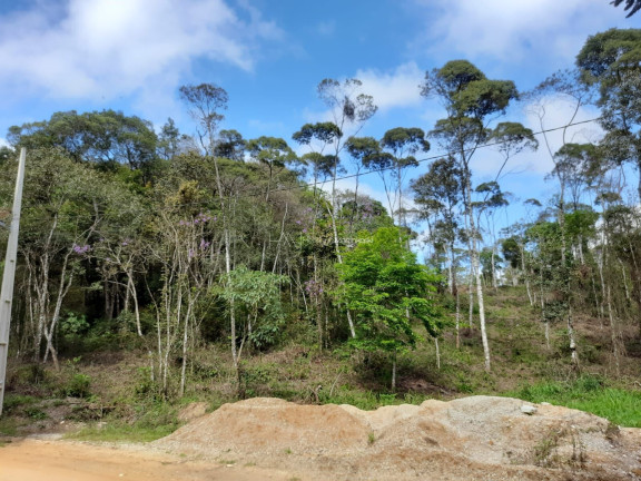 Imagem Fazenda à Venda, 58.665 m² em Pacotuba - Almirante Tamandaré Imagem Fazenda à Venda, 58.665 m² em Pacotuba - Almirante Tamandaré