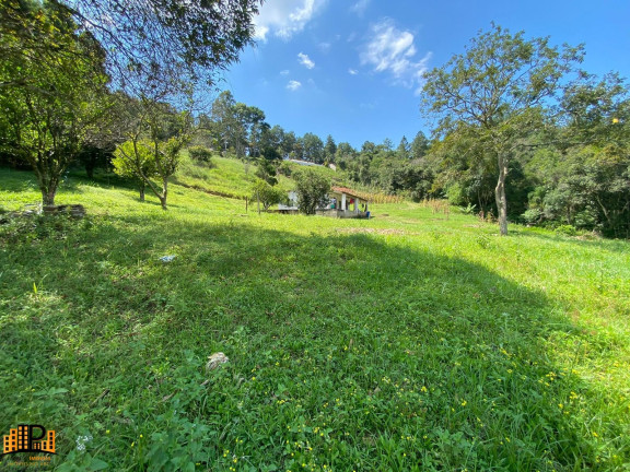 Imagem Imóvel com 2 Quartos à Venda, 7.000 m² em Girassol - São Lourenço Da Serra Imagem Imóvel com 2 Quartos à Venda, 7.000 m² em Girassol - São Lourenço Da Serra