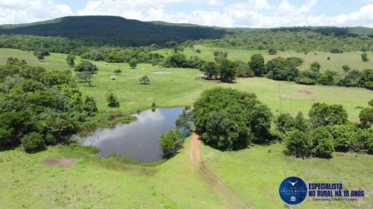 Imagem Fazenda à Venda, 108 m² em Zona Rural - Montes Claros De Goiás Imagem Fazenda à Venda, 108 m² em Zona Rural - Montes Claros De Goiás