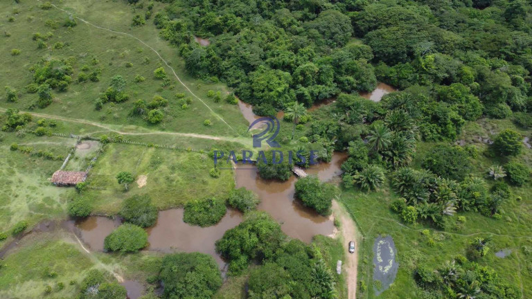 Imagem Fazenda à Venda, 2.114.000 m² em Zona Rural - Itanagra Imagem Fazenda à Venda, 2.114.000 m² em Zona Rural - Itanagra