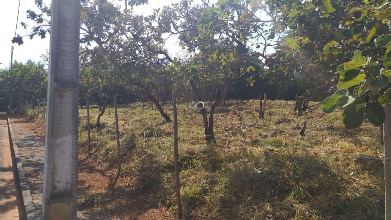 Imagem Terreno à Venda, 1.000 m² em Joá - Lagoa Santa