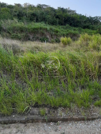 Imagem Terreno à Venda, 300 m² em Campo Redondo - São Pedro Da Aldeia