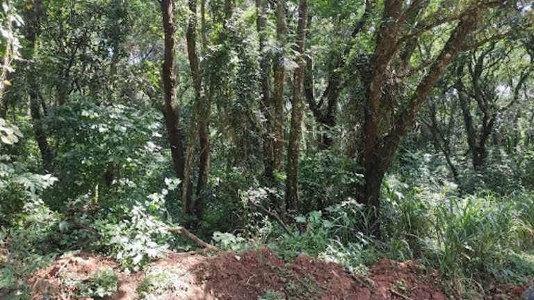 Imagem Terreno à Venda, 2.000 m² em Jardim Estância Brasil - Atibaia Imagem Terreno à Venda, 2.000 m² em Jardim Estância Brasil - Atibaia