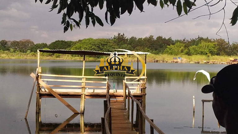 Imagem Chácara com 3 Quartos à Venda, 250 m² em Ribeirão Preto