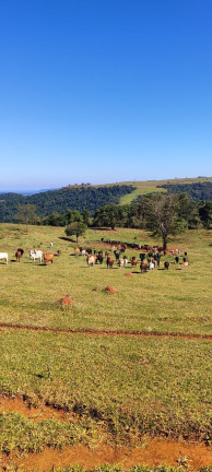 Imagem Imóvel com 5 Quartos à Venda, 2.890.000 m² em Centro - Botucatu Imagem Imóvel com 5 Quartos à Venda, 2.890.000 m² em Centro - Botucatu