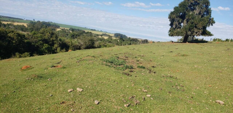Imagem Chácara com 2 Quartos à Venda, 118 m² em Zona Rural - Angatuba Imagem Chácara com 2 Quartos à Venda, 118 m² em Zona Rural - Angatuba