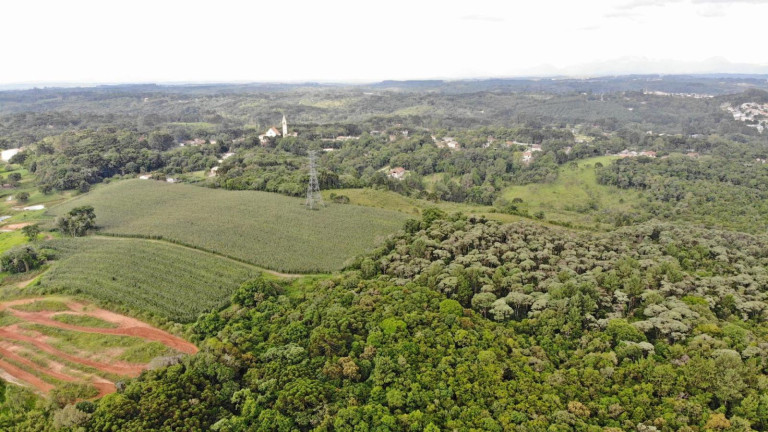 Imagem Terreno à Venda, 19.600 m² em Colônia Faria - Colombo
