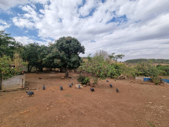 Imagem Fazenda à Venda, 9 m² em Interlândia - Anápolis Imagem Fazenda à Venda, 9 m² em Interlândia - Anápolis