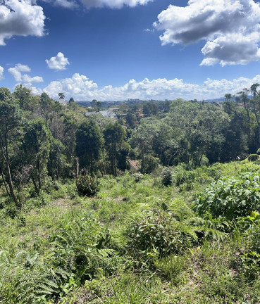 Imagem Terreno à Venda, 1.200 m² em Campos Do Jordão Imagem Terreno à Venda, 1.200 m² em Campos Do Jordão