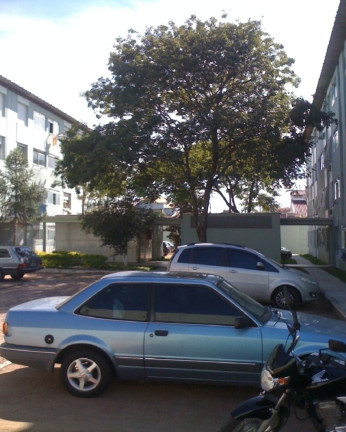 Imagem Imóvel com 2 Quartos à Venda, 58 m² em Cavalhada - Porto Alegre
