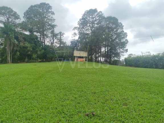 Imagem Imóvel com 5 Quartos à Venda, em Morro Do Alto - Itapetininga Imagem Imóvel com 5 Quartos à Venda, em Morro Do Alto - Itapetininga