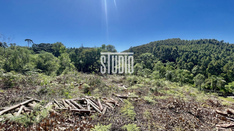 Imagem Terreno à Venda, 11.990 m² em Operário - Barão Imagem Terreno à Venda, 11.990 m² em Operário - Barão