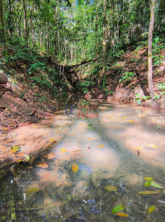 Imagem Imóvel com 2 Quartos à Venda, 200.000 m² em Centro - Acará Imagem Imóvel com 2 Quartos à Venda, 200.000 m² em Centro - Acará