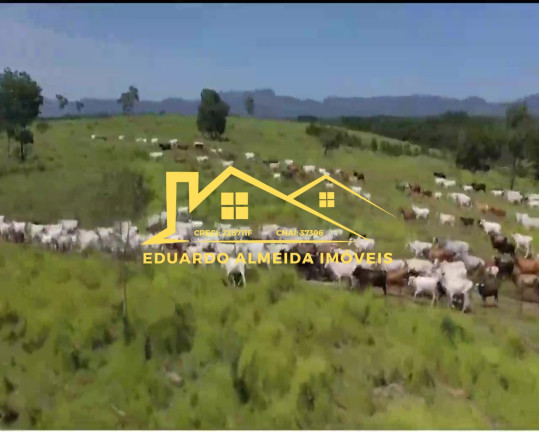 Imagem Imóvel à Venda,  em Barreira Da Onça - Arraias