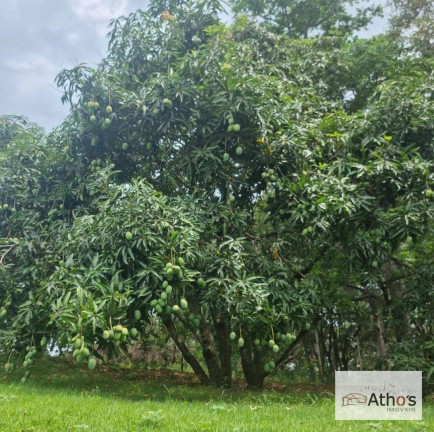 Imagem Chácara com 5 Quartos à Venda, 1.100 m² em Jardim Dos Laranjais - Indaiatuba Imagem Chácara com 5 Quartos à Venda, 1.100 m² em Jardim Dos Laranjais - Indaiatuba