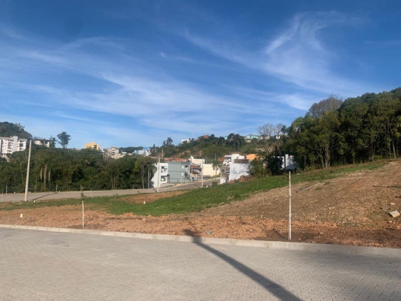 Imagem Terreno à Venda, 293 m² em Sao Roque - Bento Gonçalves